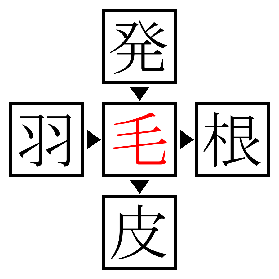 Answer Image