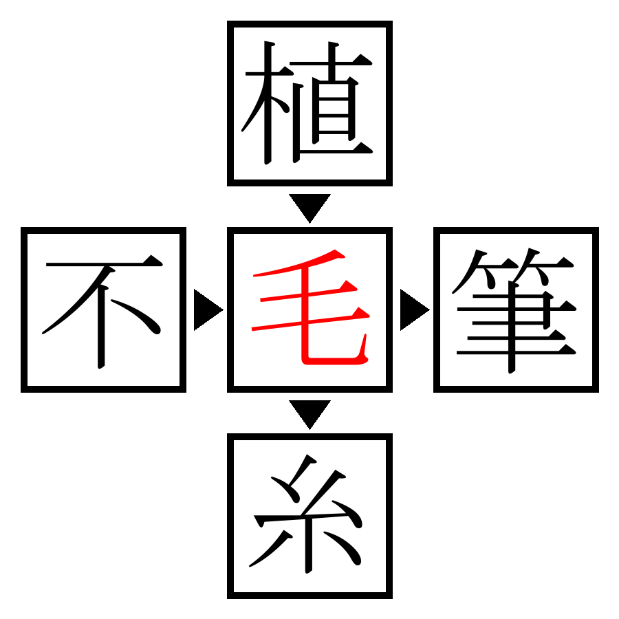 Answer Image