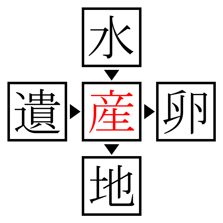 Answer Image