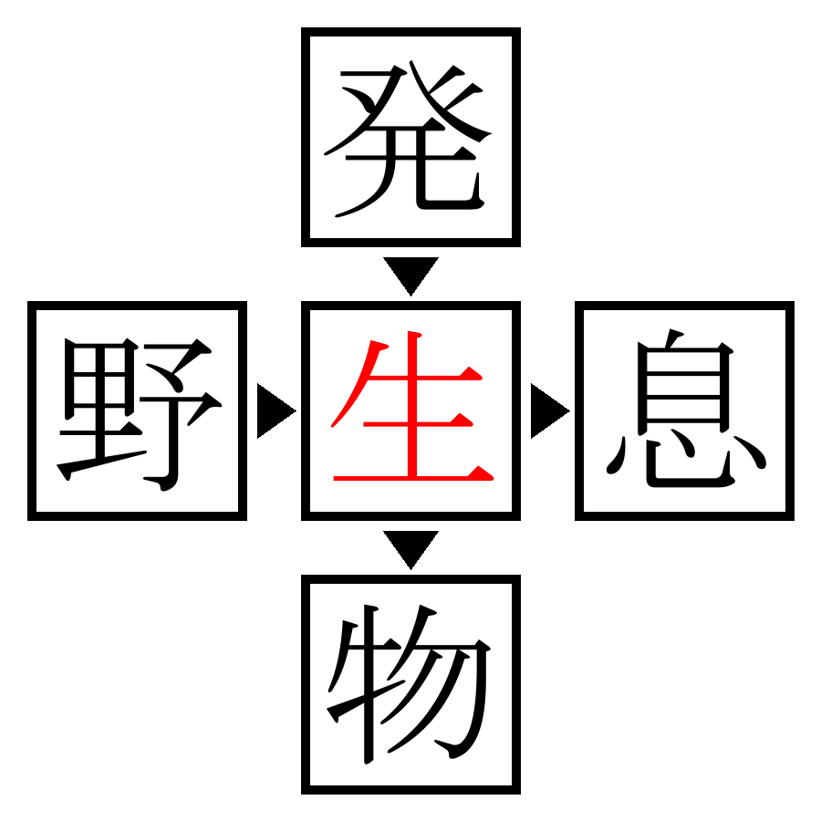 Answer Image