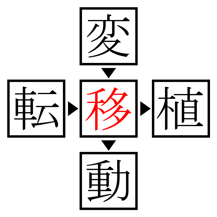 Answer Image
